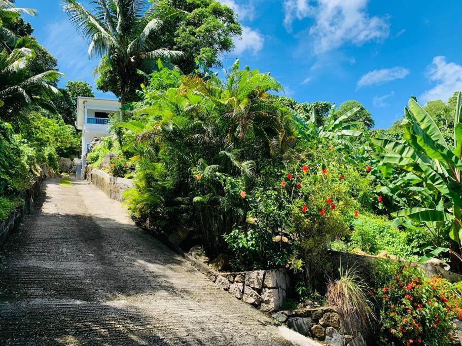 Crystal Apartments Seychelles Seaview Ground Floor Glacis  Eksteriør billede